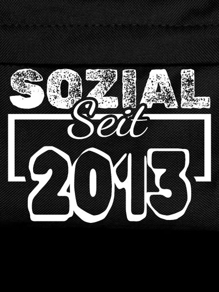 seit 2013