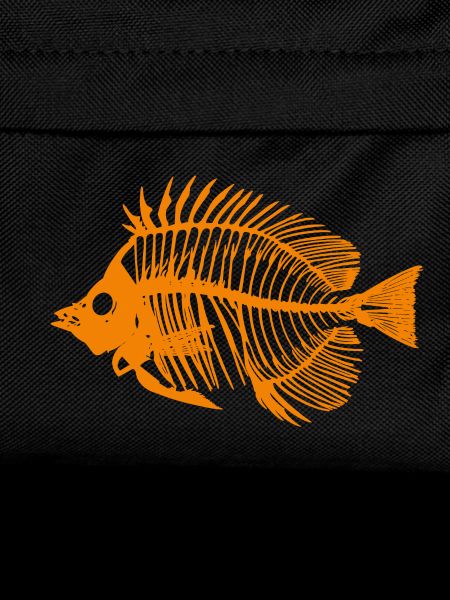 Fish Orange