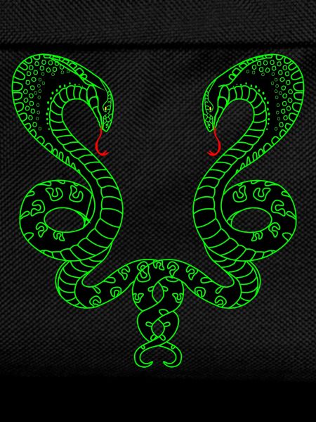Two green snakes