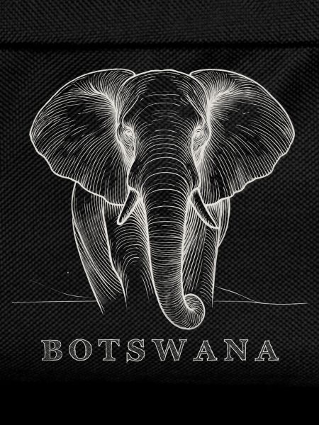 Botswana Power