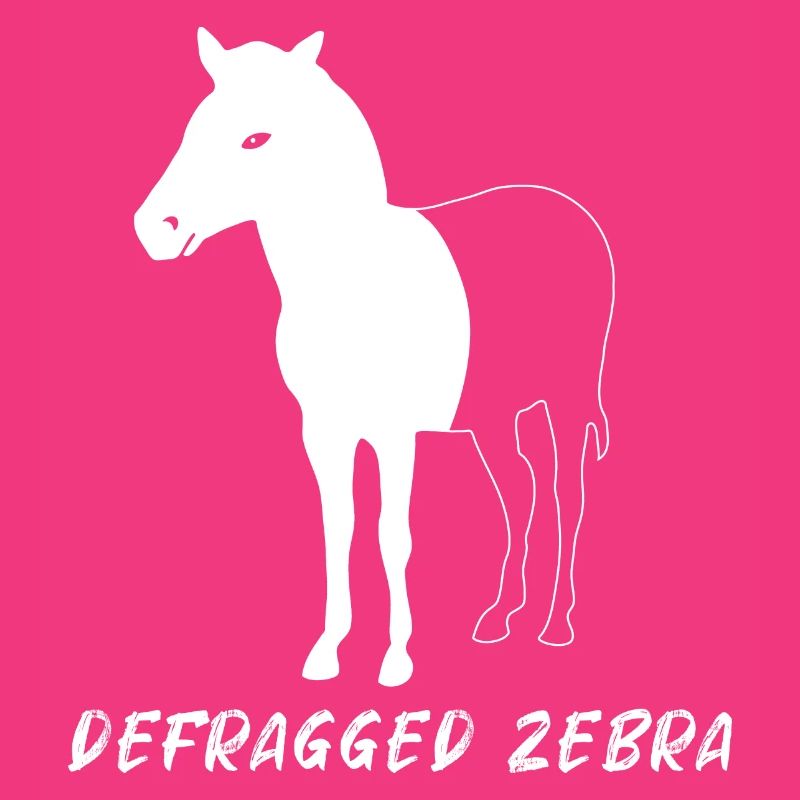 Defragged Zebra Admin Geek Programmer Gift