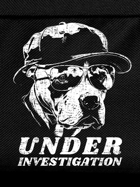 Pitbull - Under Investigation