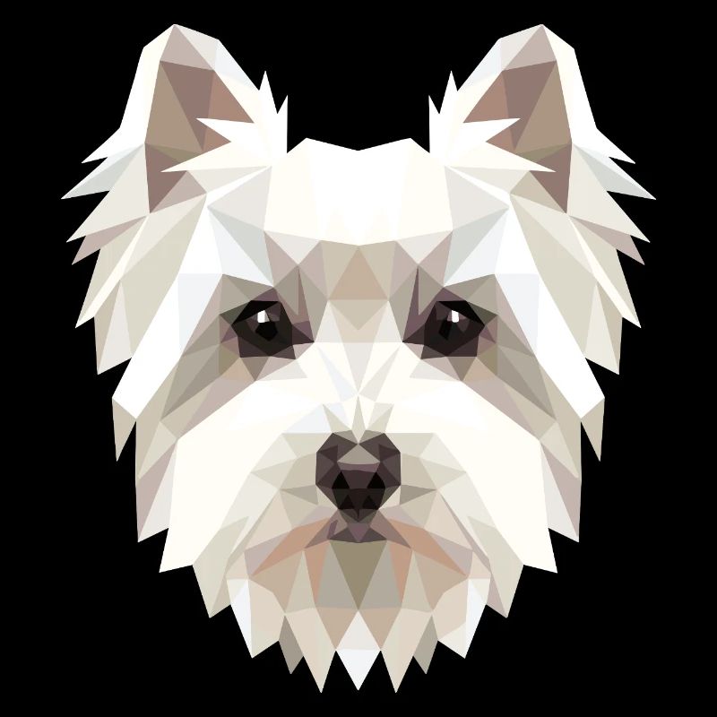 Petit chien maltais aime le doux maltais