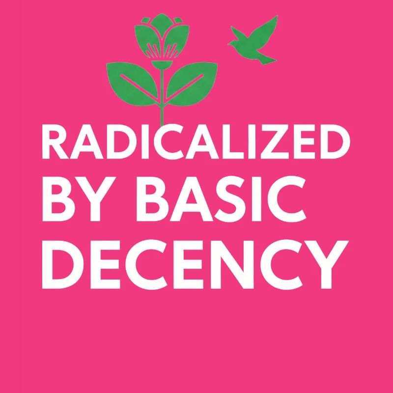 Radicalized By Basic Decency Statement shirt decal