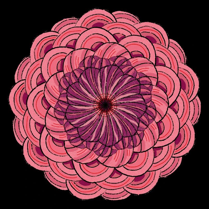 Mandala Rose