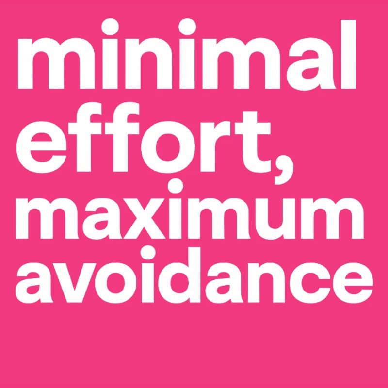 minimal effort maximum avoidance | Ironie, Minimal