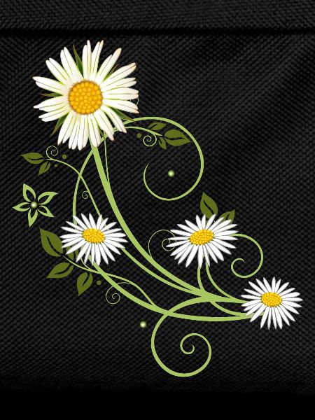 Ranke mit Margerite und Gänseblümchen