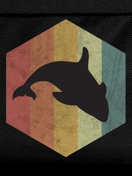 killer whale
