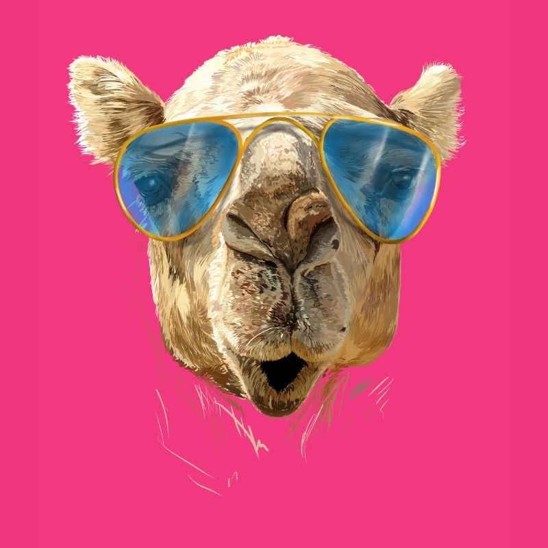 Camel with sunglasses