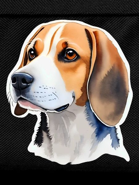 Beagle