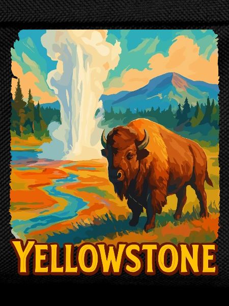 Yellowstone Bison Geyser