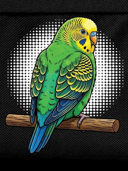 Budgerigars Budgie Owners Budgies
