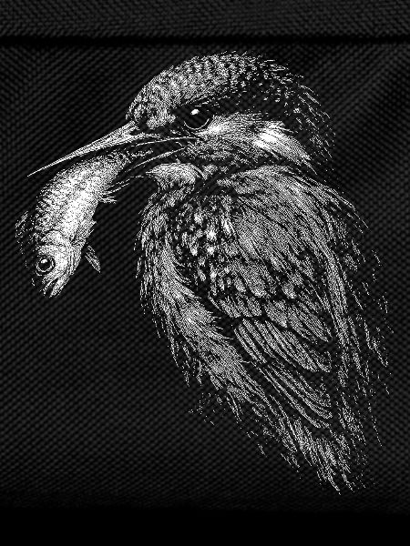 kingfishers