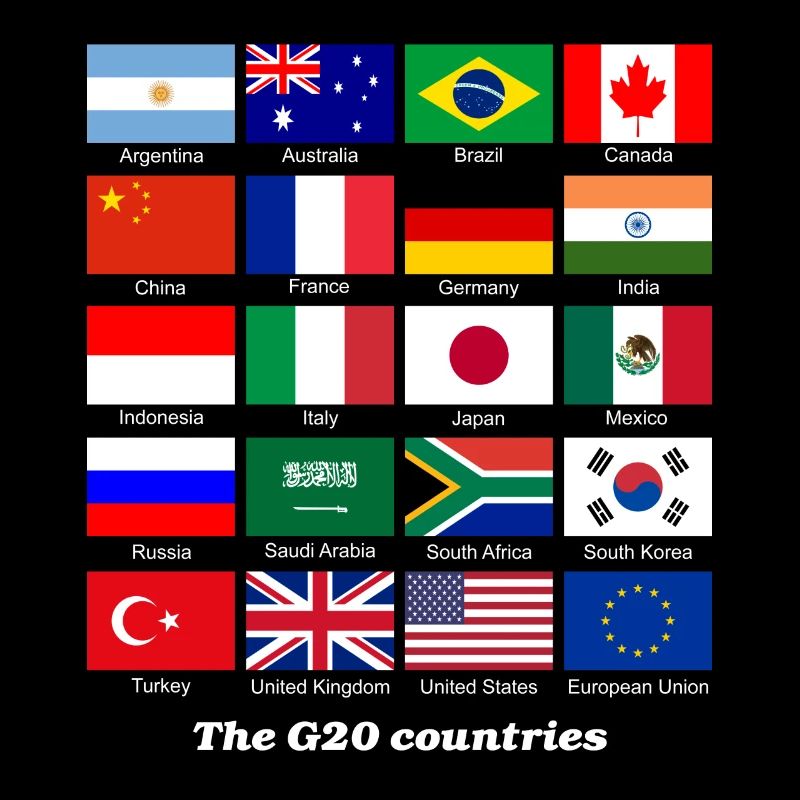 G20 flag