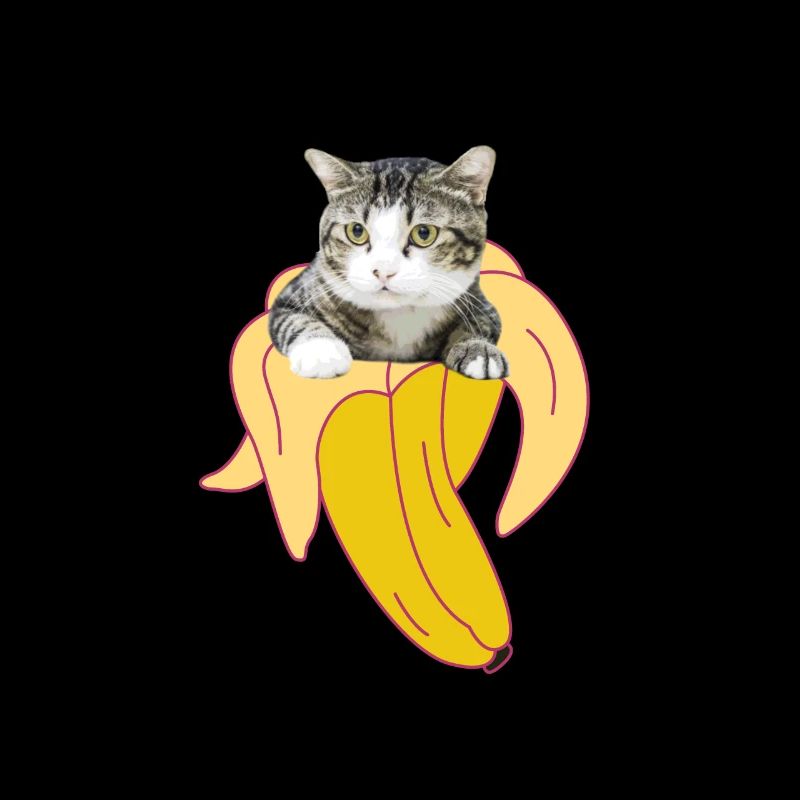 Katze Banane Kätzchen meow kitty cat Katzendame
