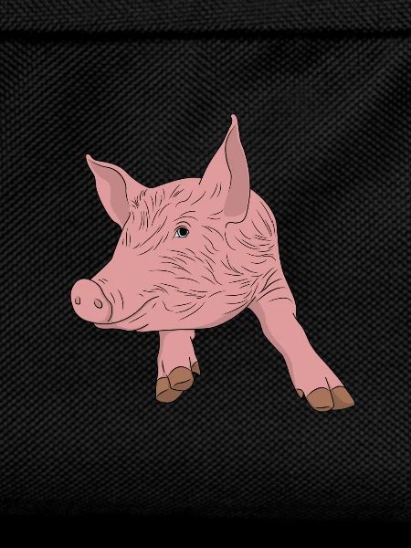 porc