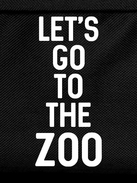 ZOO - ANIMALS - LIONS