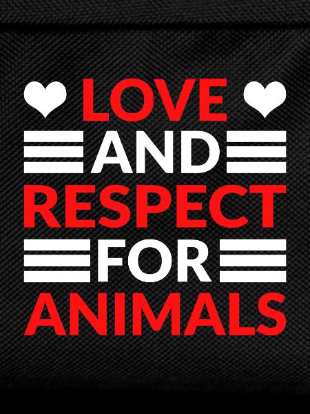 Respect Acceptance Tolerance Recognition Validity