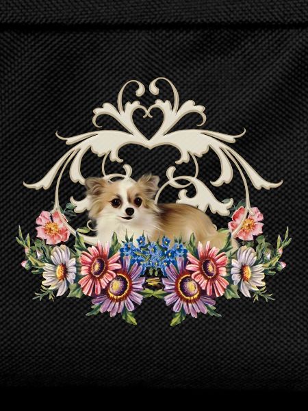 Linda chihuahua