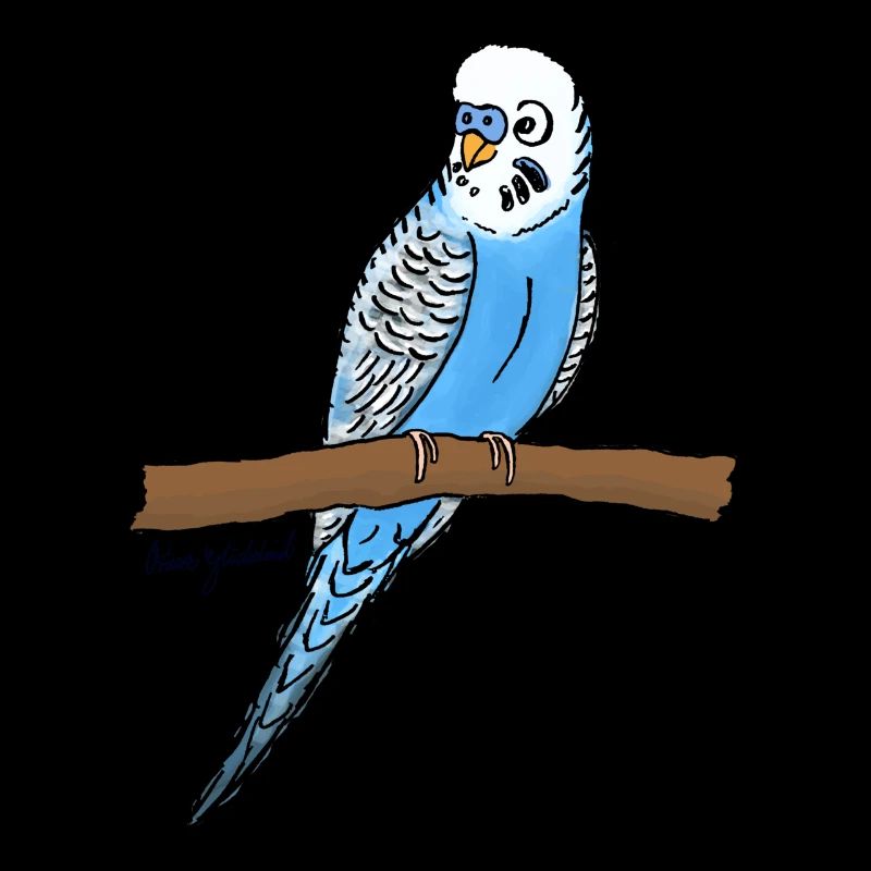 Blauer Wellensittich