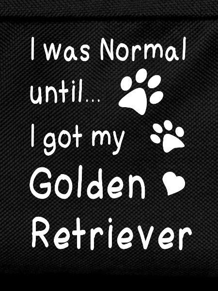 Golden retriever