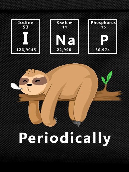 i nap periodically funny sloth