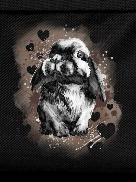 Lapin lapin