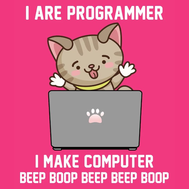 Programmer