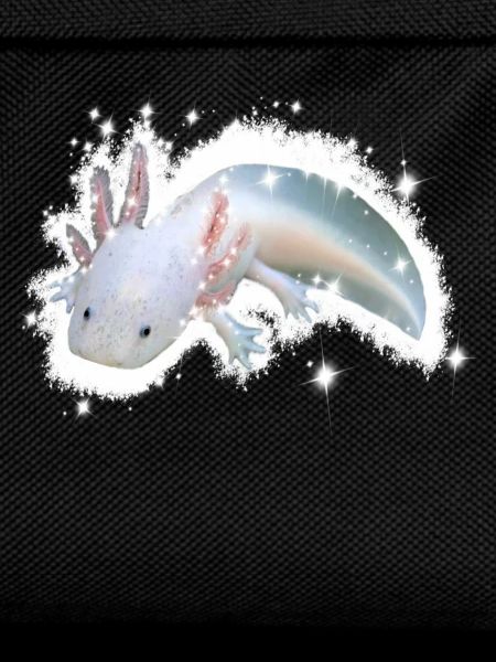 white axolotl