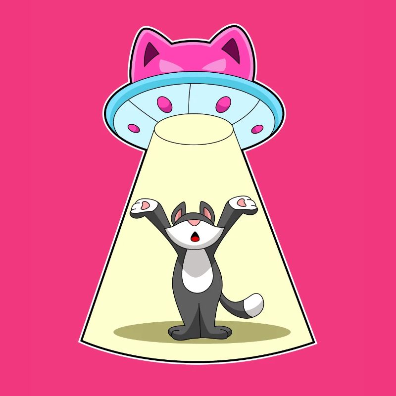 Vaisseau spatial pour chat
