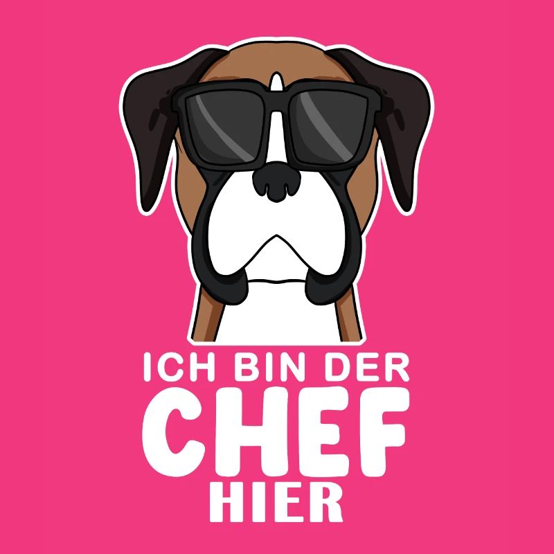 Hund Deutscher Boxer Cool Chef