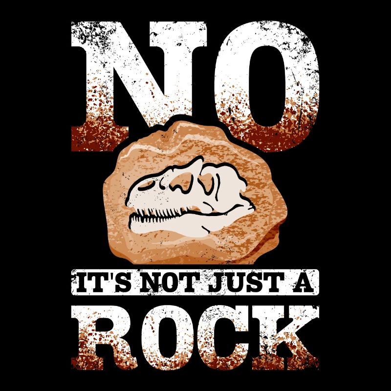 Drôle de paléontologue non ce n’est pas juste un rocher