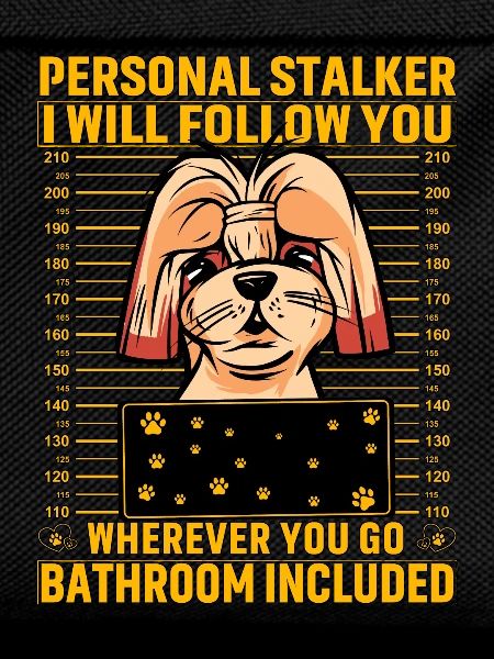 Shih Tzu Stalker