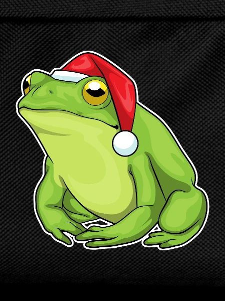 Frog Christmas Santa Hat