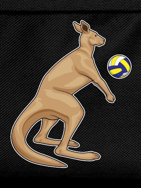 Kangaroo Volleyball Player Volleyball