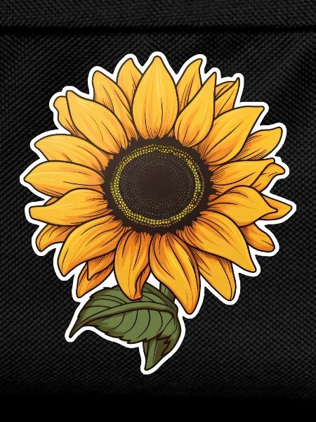 Sonnenblume
