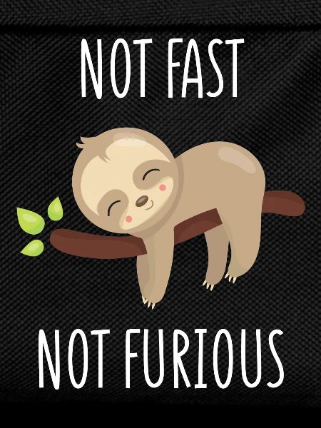 Not Fast, Not Furious
