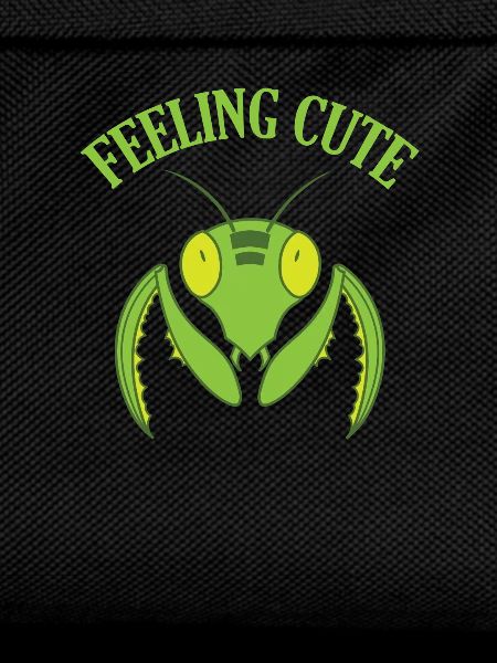 Feeling Cute Mantis