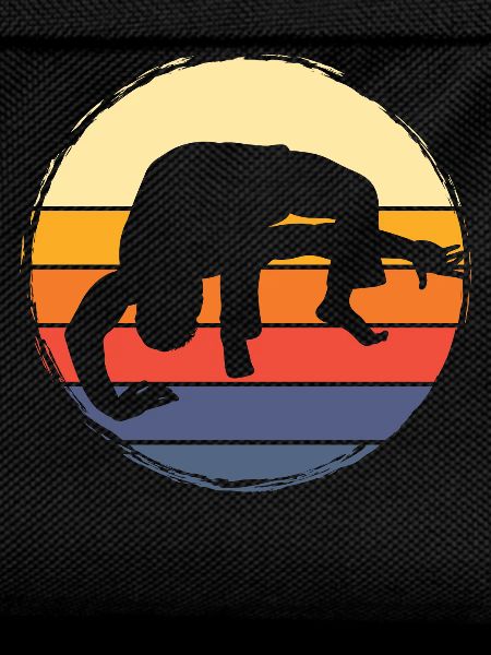Capoeira