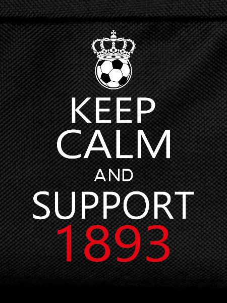 Support 1893