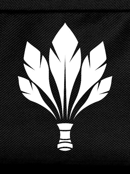 Badminton Federball
