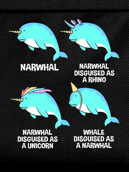 Narwhal