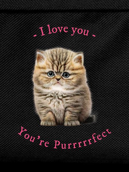 You're Purrrfect