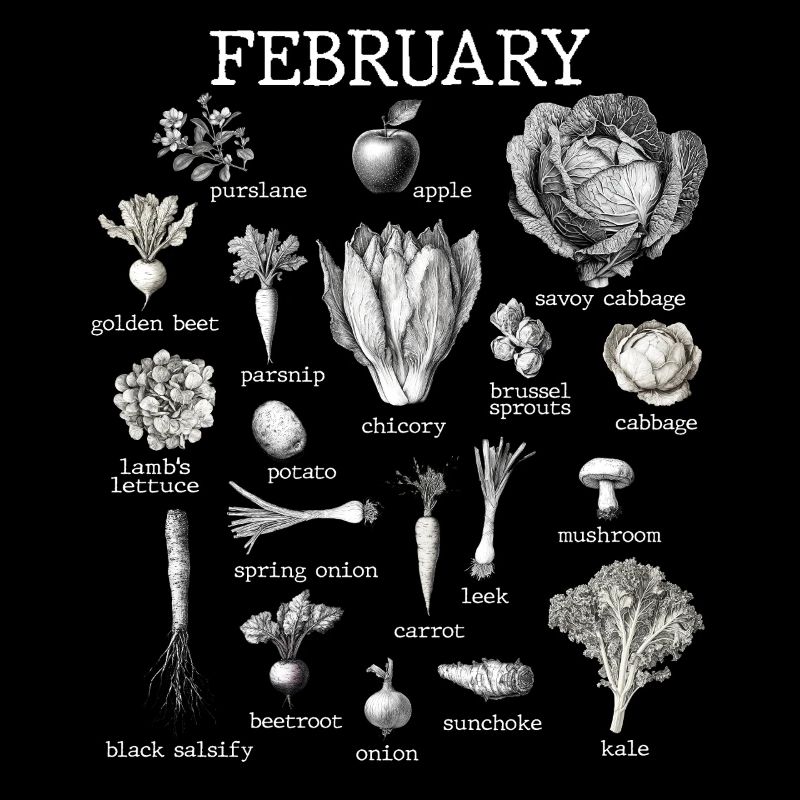 Februar Collage mit saisonalem Gemüse und Obst