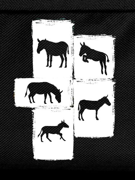 Donkey
