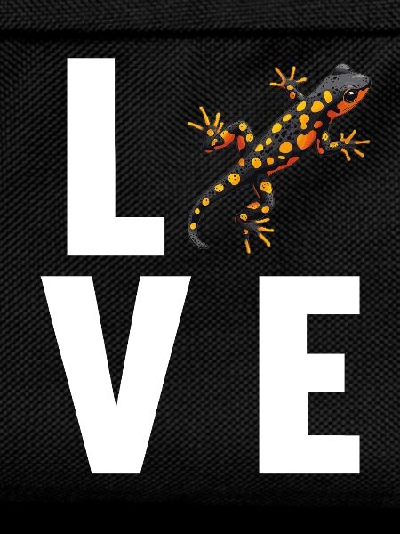 Salamanders Salamander