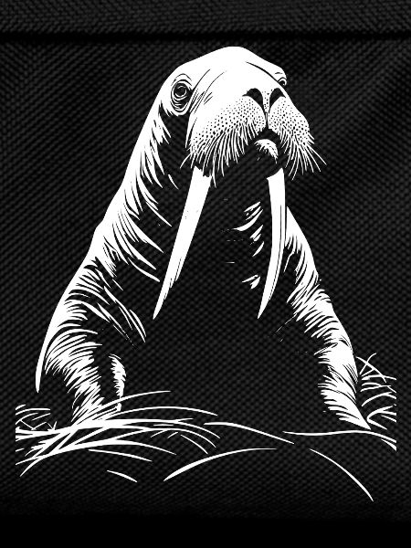 Walrus