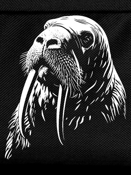 Walrus