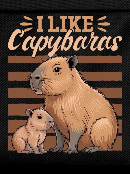 Funny aesthetic Kawaii Capybara
