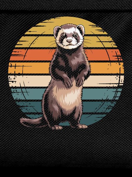 Ferret
